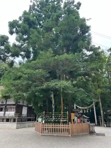 大神神社の自然