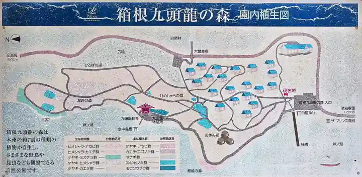 白龍神社(神奈川県)