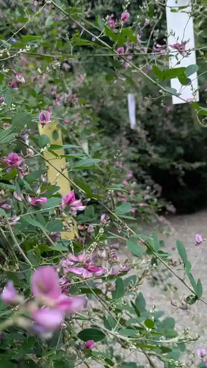 梨木神社(京都府)
