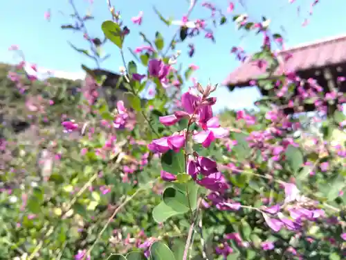 瑞源寺(福井県)