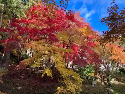 洞光寺(兵庫県)