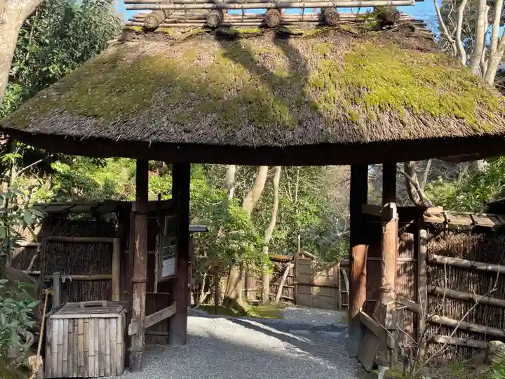 祇王寺(京都府)