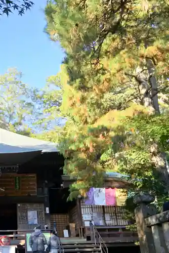 深大寺の本殿・本堂
