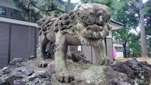 下鶴馬氷川神社の狛犬