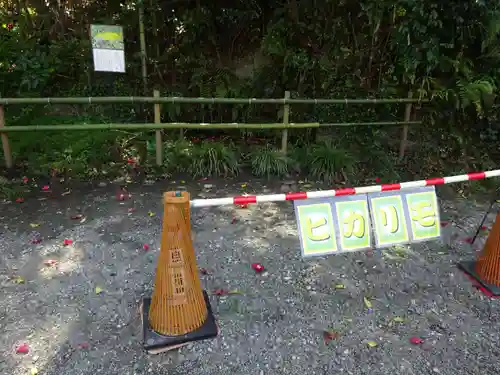 白笹稲荷神社の自然