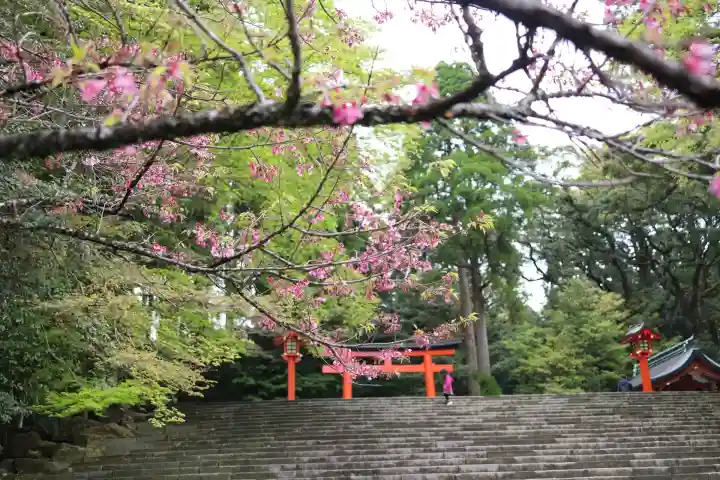 霧島神宮(鹿児島県)
