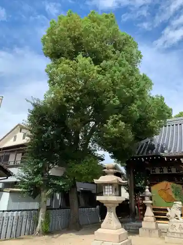天神社(大阪府)