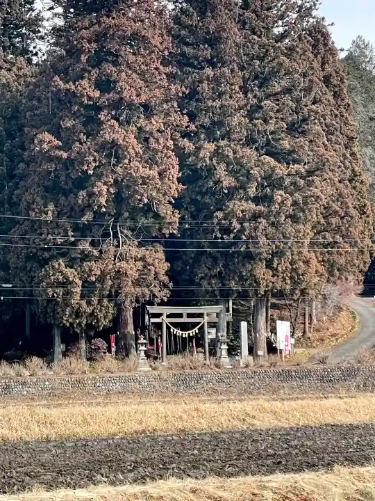 岩戸別神社の{uncategorized: "未分類", other: "その他", undefined: "問題あり", building: "その他建物", grave: "お墓", sacred_gate: "鳥居", guardian: "狛犬", statue: "像", buddha: "仏像", history: "歴史", nature: "自然", garden: "庭園", animal: "動物", pagoda: "塔", temizu: "手水舎", mountain_gate: "山門・神門", sanctuary: "本殿・本堂", subordinate: "末社・摂社", art: "芸術", scenery: "景色", jizo: "地蔵", ema: "絵馬", goshuin: "御朱印", omikuji: "おみくじ", items: "授与品その他", amulet: "お守り", goshuincho: "御朱印帳", eats: "食事", festival: "お祭り", votive_dance: "神楽", shichigosan: "七五三参", wedding: "結婚式", experience: "体験その他", initially: "初詣", around: "周辺", anti_infection: "感染症対策"}