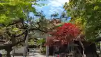 彌彦神社 (伊夜日子神社)(北海道)