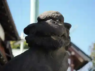 奥戸天祖神社(東京都)