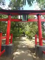 若泉稲荷神社(埼玉県)