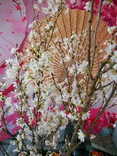 札幌諏訪神社の手水