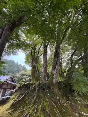 持性院(徳島県)