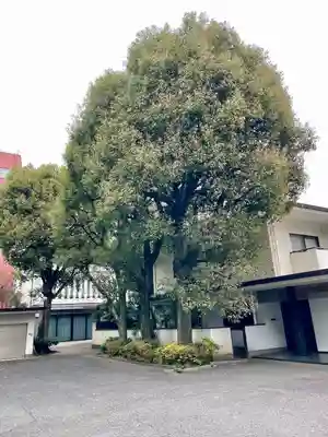 蓮乗寺(東京都)