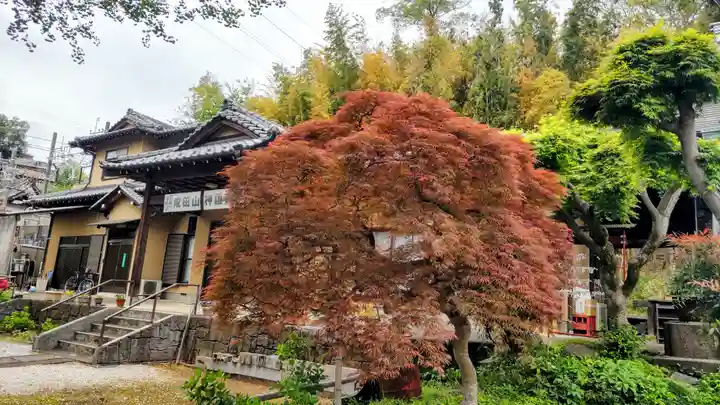 成田山神護寺(埼玉県)