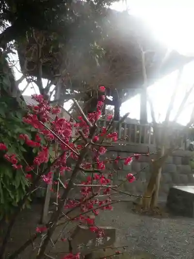 本覚寺のその他建物