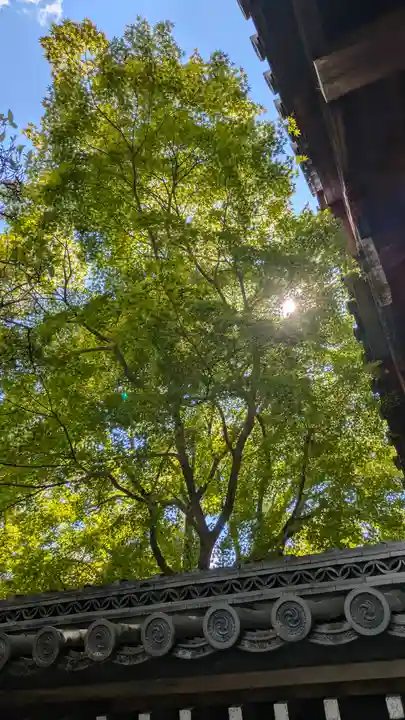 妙満寺(京都府)