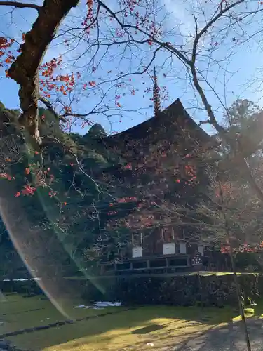 西明寺の建物その他