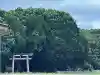 波照間御嶽の{uncategorized: "未分類", other: "その他", undefined: "問題あり", building: "その他建物", grave: "お墓", sacred_gate: "鳥居", guardian: "狛犬", statue: "像", buddha: "仏像", history: "歴史", nature: "自然", garden: "庭園", animal: "動物", pagoda: "塔", temizu: "手水舎", mountain_gate: "山門・神門", sanctuary: "本殿・本堂", subordinate: "末社・摂社", art: "芸術", scenery: "景色", jizo: "地蔵", ema: "絵馬", goshuin: "御朱印", omikuji: "おみくじ", items: "授与品その他", amulet: "お守り", goshuincho: "御朱印帳", eats: "食事", festival: "お祭り", votive_dance: "神楽", shichigosan: "七五三参", wedding: "結婚式", experience: "体験その他", initially: "初詣", around: "周辺", anti_infection: "感染症対策"}