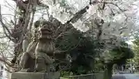 品川貴船神社の狛犬