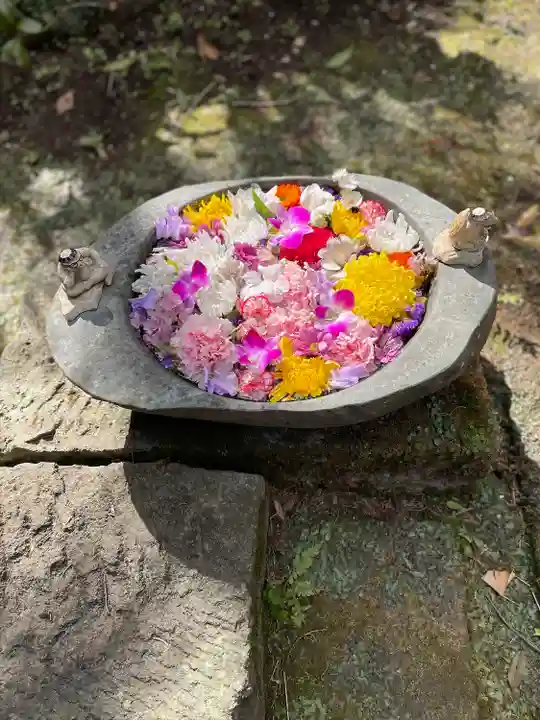 かっぱの寺 栖足寺(静岡県)