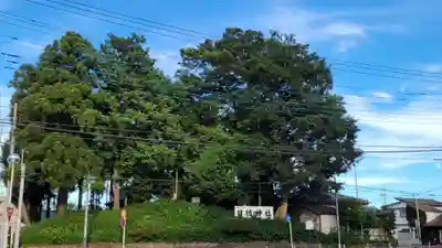 仙波氷川神社のその他建物