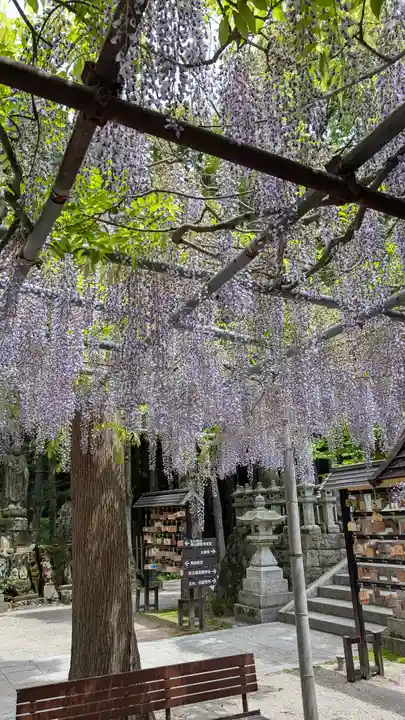呑山観音寺(福岡県)