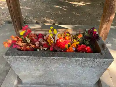 高山神社の手水舎