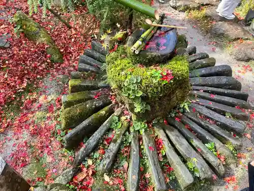安楽寺(京都府)