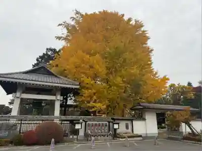 普門院(埼玉県)