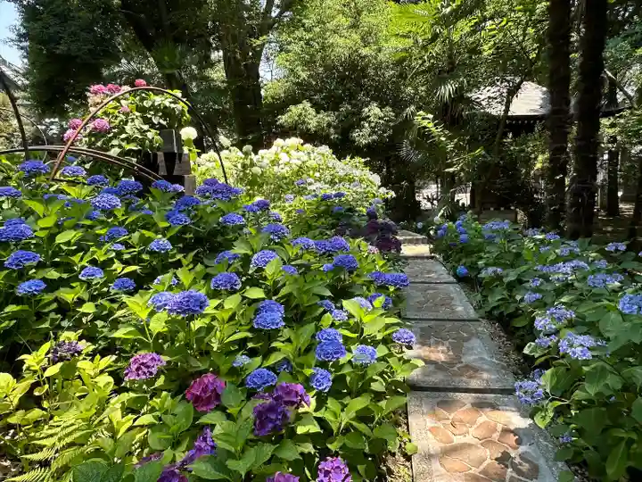 長命寺(東京都)