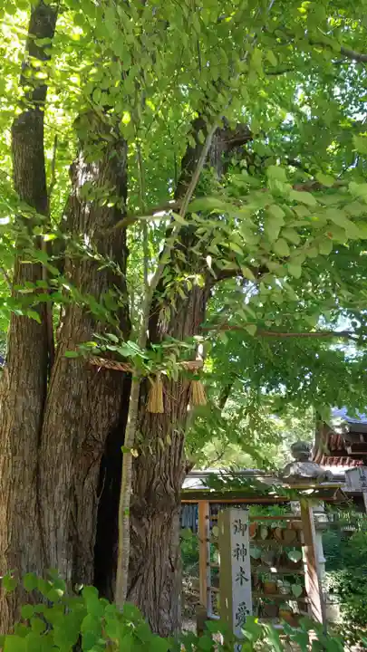 梨木神社の自然