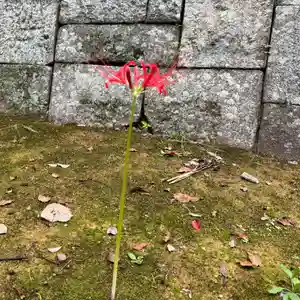 伊勢の国 四天王寺(三重県)(2025年09月25日(木) 09時15分59秒投稿)