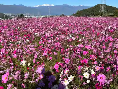 矢彦神社(長野県)