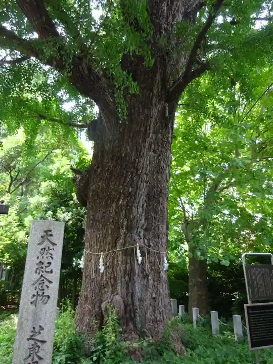 芝東照宮の自然
