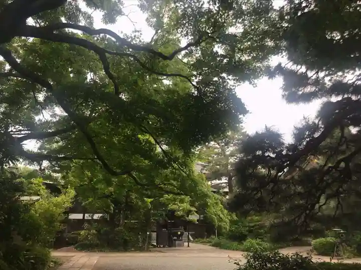 醫王寺の自然