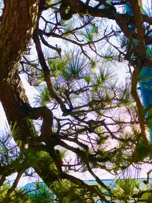 神武天皇遥拝殿(茨城県)