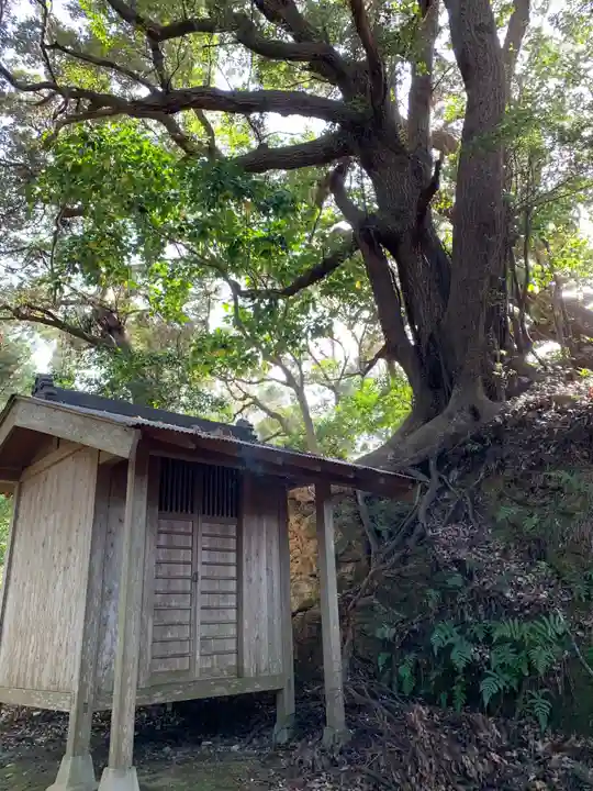 松尾神社の本殿・本堂