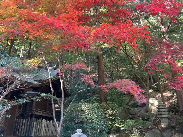徳光院の本殿・本堂