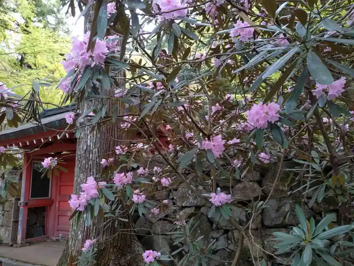 三千院門跡(京都府)