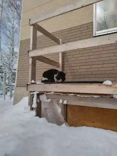 清田稲荷神社(北海道)