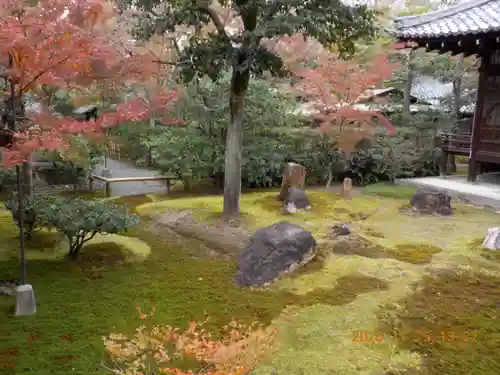 建仁寺（建仁禅寺）の庭園