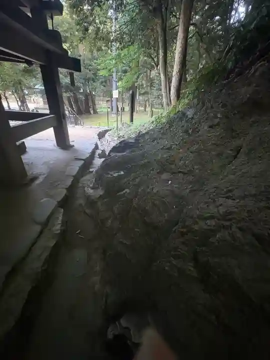 出雲大社(島根県)
