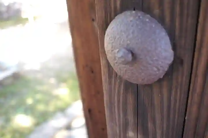 東福禅寺(東福寺)のその他建物