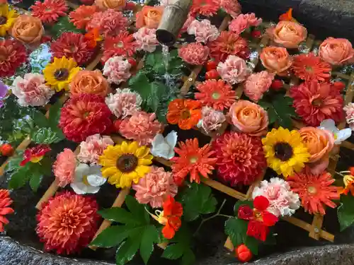 千歳神社の手水