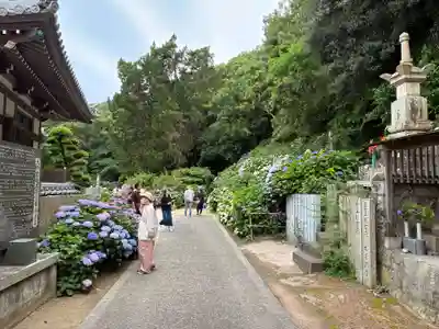 潮明寺(徳島県)
