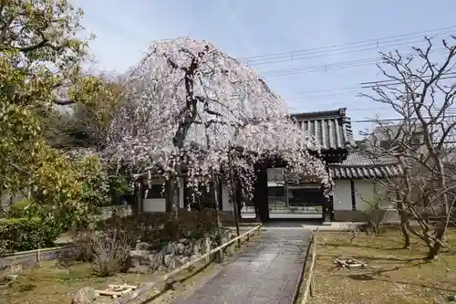 上品蓮台寺の山門・神門
