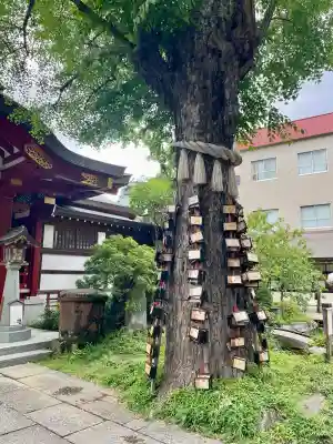 素盞雄神社(東京都)