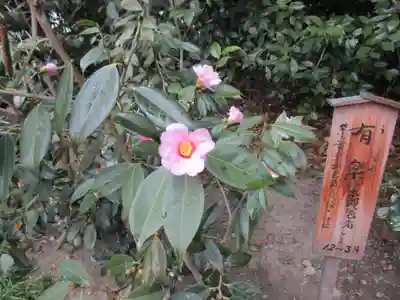 城南宮(京都府)