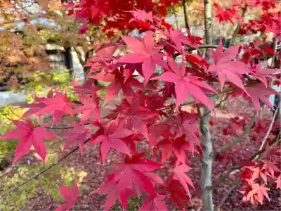 禅林寺(永観堂)(京都府)